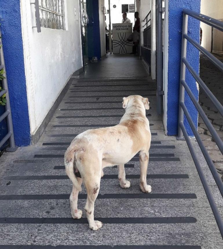 Divulgação/Santa Casa de Misericórdia