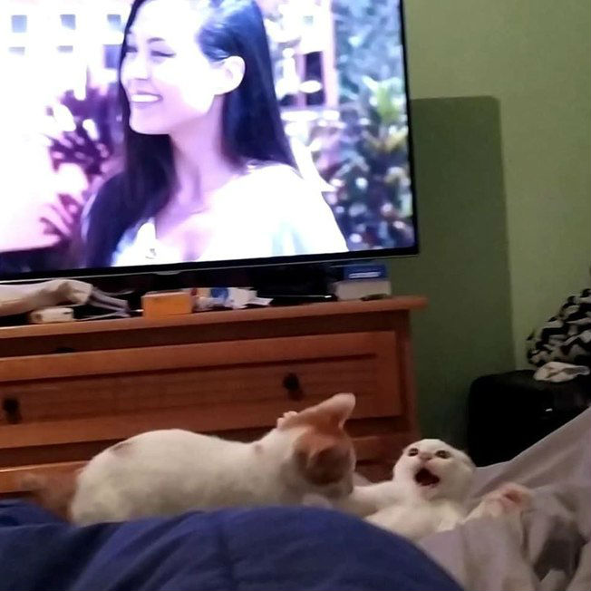 Reprodução/Facebook Reprodução/Facebook