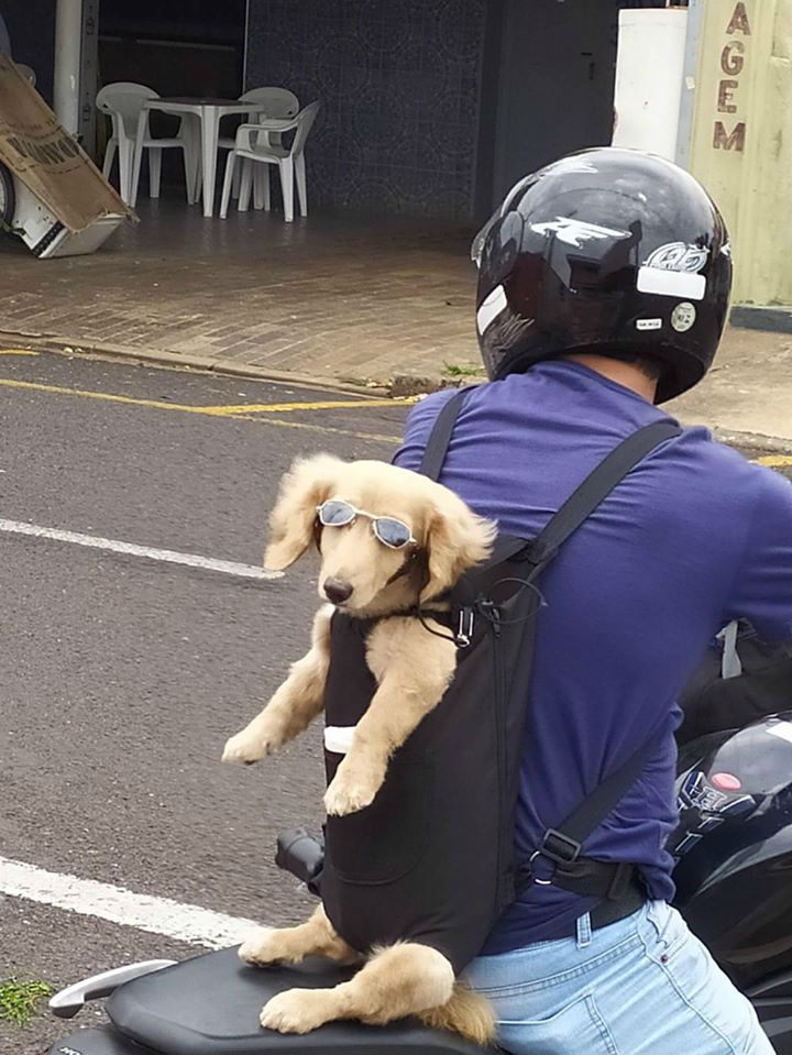 Reprodução/Facebook