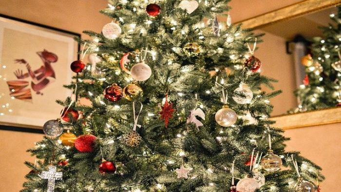 Saiba qual o dia certo para desmontar a árvore de Natal