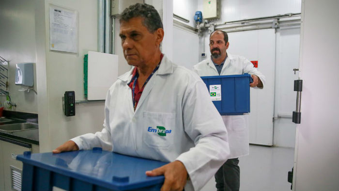 José Cruz/Agência <a href='/tags/brasil/' rel='noreferrer' target='_blank'>Brasil</a> José Cruz/Agência <a href='/tags/brasil/' rel='noreferrer' target='_blank'>Brasil</a>
