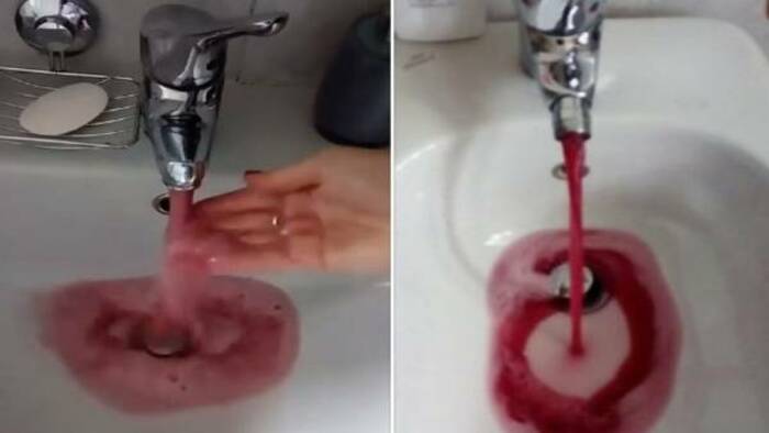 Reprodução/Twitter Reprodução/Twitter