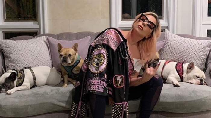 Reprodução/Instagram/@ladygaga Reprodução/Instagram/@ladygaga
