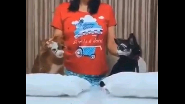 Reprodução/Instagram Reprodução/Instagram