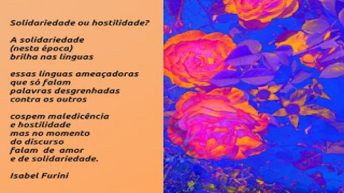Solidariedade ou hostilidade? - Poema de Isabel Furini