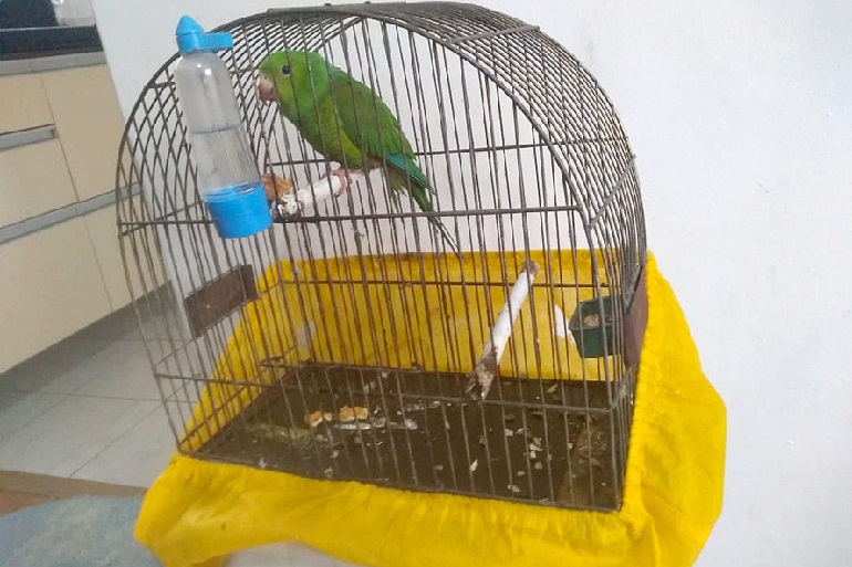 Divulgação/SESP
