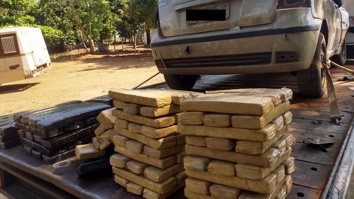 Divulgação/Polícia Ambiental Divulgação/Polícia Ambiental