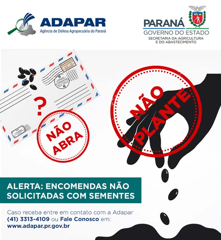 Divulgação Divulgação