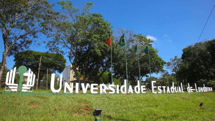 Divulgação Divulgação