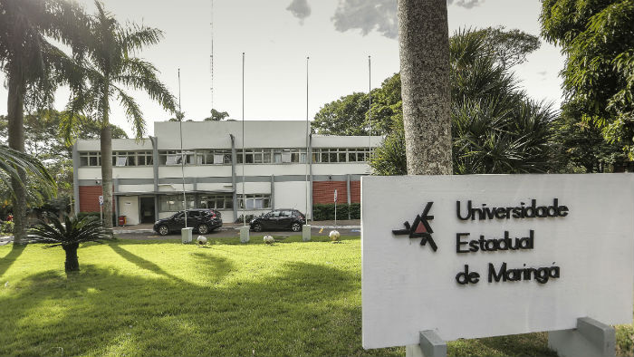 Divulgação/<a href='/tags/uem/' rel='noreferrer' target='_blank'>UEM</a> Divulgação/<a href='/tags/uem/' rel='noreferrer' target='_blank'>UEM</a>