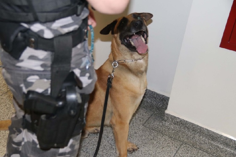 Divulgação/SESP Divulgação/SESP