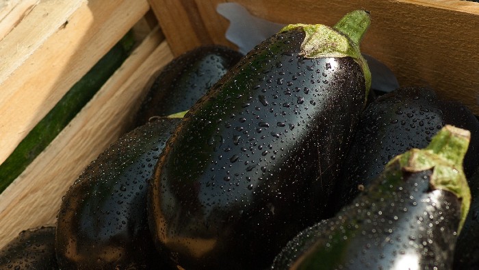 Lista de receitas com berinjela, um dos legumes da esta��o