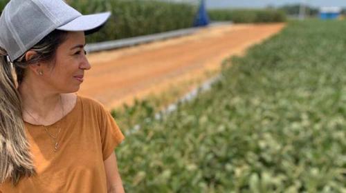 Mulheres comandam 20% das propriedades rurais do Paran�