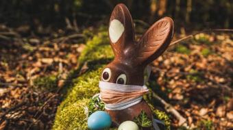 Chocolates artesanais e jogos online s�o apostas nesta P�scoa