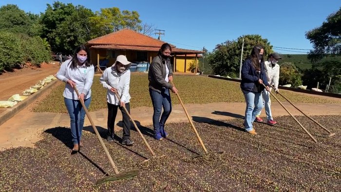 Inova��o e empreendedorismo: a for�a dos grupos para a inova��o no campo