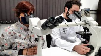 Equipe da UEL vence competi��o de Patologia Veterin�ria