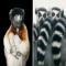 Crédito-5: Divulgação/Tim Flach
