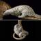 Crédito-5: Divulgação/Tim Flach