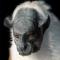 Crédito-6: Divulgação/Tim Flach